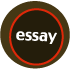 essay